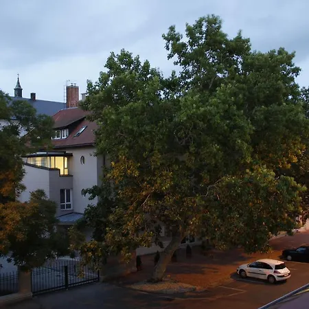 بيت شباب Szent Gellert