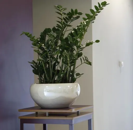 Hostel Szent Gellert *